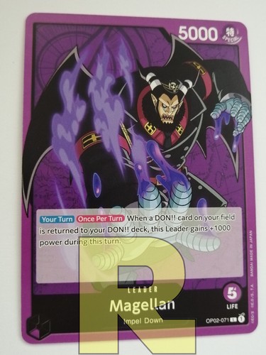 Magellan leader - magellan, ®