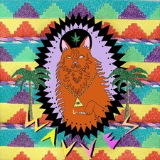 Wavves King Of The Beach