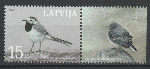 stampi uccelli