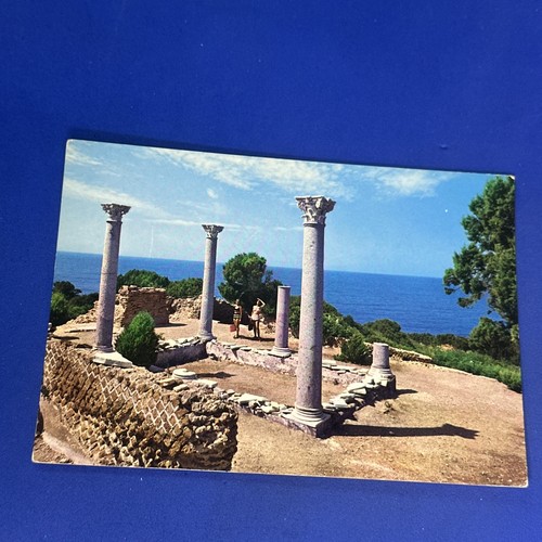 Isola giannutri villa - di,