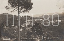 BRACCO m. 414 - MONEGLIA (GENOVA)