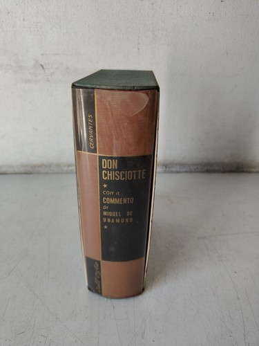 Don chisciotte miguel - don,