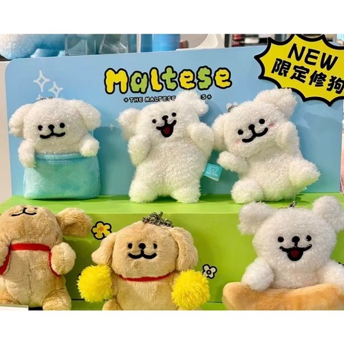 maltese cucciolo