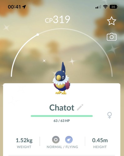 Shiny chatot pokemon gen4 - shiny,