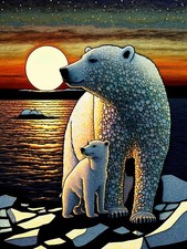Illustrazione orso polare