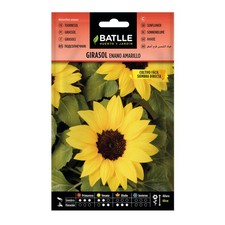 Battle Semi di Fiori, Girasole