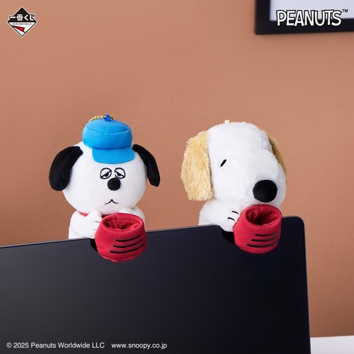 Ichiban kuji peanuts - kuji, &