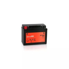 Mtz14s batteria malossi gel - mtz14s,