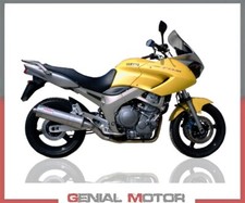 Scarichi Terminali GPR TRIOVAL