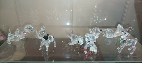 Collezione swarovski vari - collezione,
