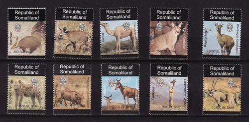 Animali selvatici diversi - animali,