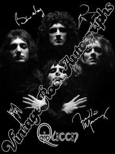 Queen freddie mercury - freddie,