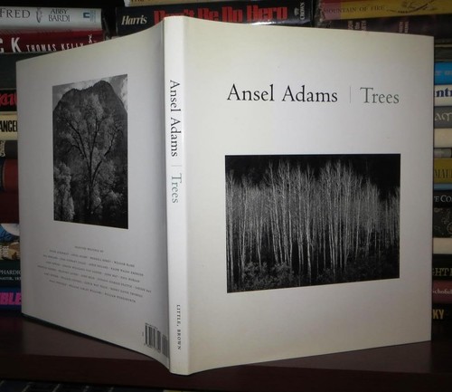 Ansel adams trees - ansel, adams:
