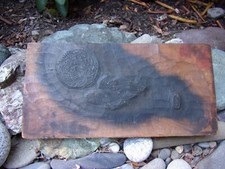 affascinante antico storyboard