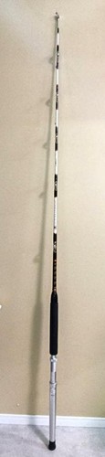 Penn international igfa30 - international, 30lb