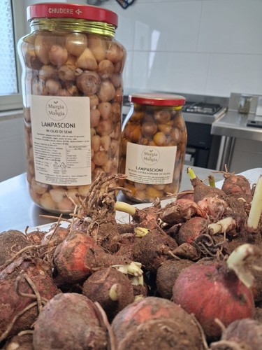 Lampascioni olio semi - lampascioni,