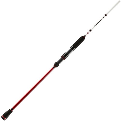 Penn squadron labrax - ii, shore