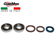 CUSCINETTI PARAOLIO ALBERO MOTORE HUSQVARNA KTM 250 350 P400270444061 