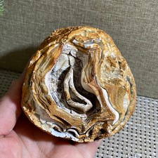 Bonsai Suiseki 566g - Pietra