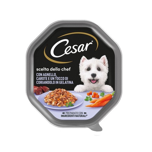 Cesar cane scelta dello chef - cane,