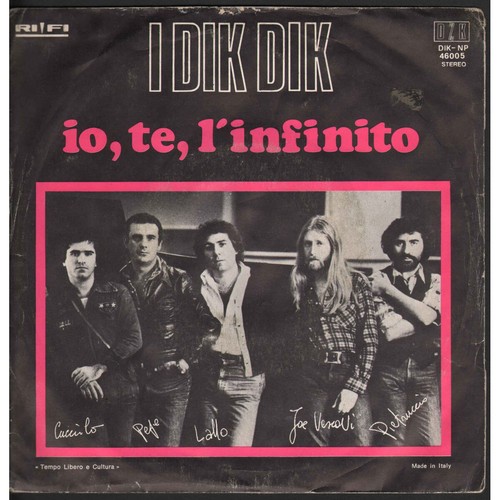 Dik vinile giri - i,