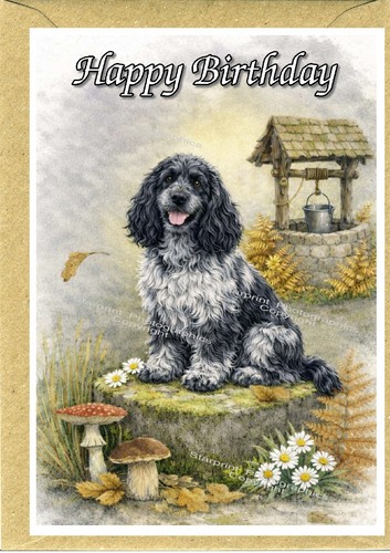 Cocker spaniel blue roan dog - cocker,
