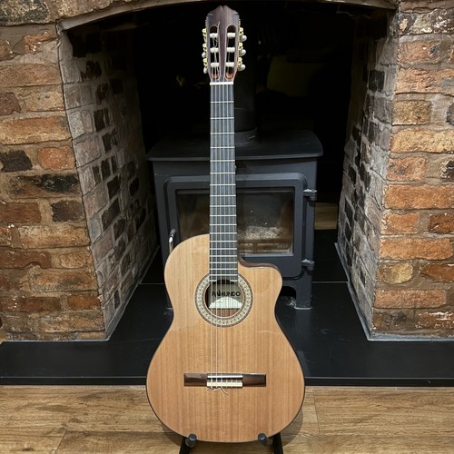 Raimundo 610e cutaway - raimundo,