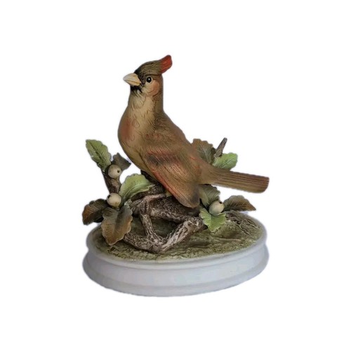 animali cardellini