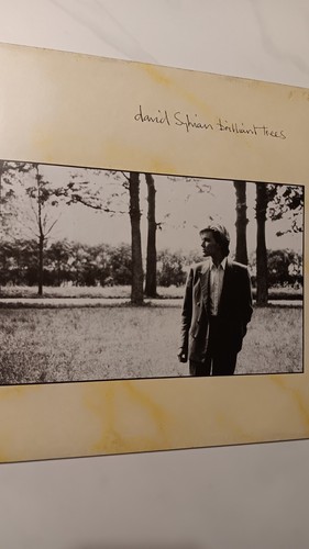 David sylvian capolavoro - david,