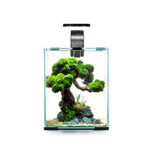 Aquael Set Smart Day & Night 30l | Acquario Completo LED + Filtro + Riscaldatore