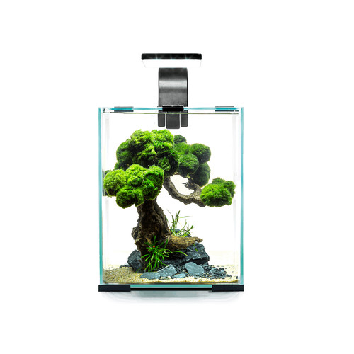 Aquael set smart - set, night