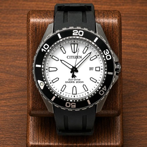 Citizen promaster eco drive - citizen,