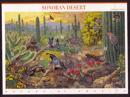 3293 sonoran desert 33 - us,