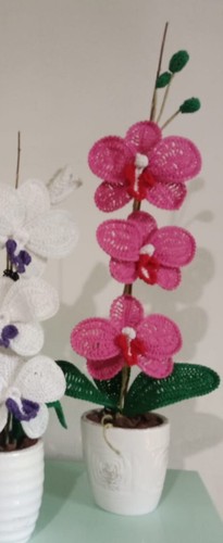 orchidea uncinetto