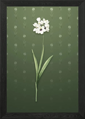 Quadro stampa tela - quadro, poster