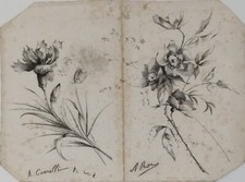 ANTICO DISEGNO A MATITA SU CARTONCINO PRIMI 1900 FIORI – A. COMOLLI – A. ROSA