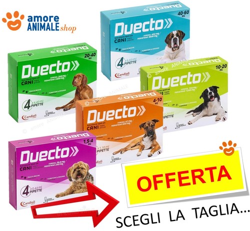 Candioli duecto 4 pipette - candioli,