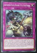 ADDESTRAMENTO PELLICCIA