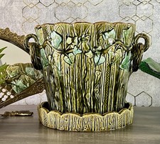 Piante maiolica ceramica