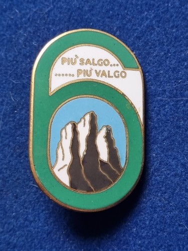 Distintivo esercito - distintivo, 6°