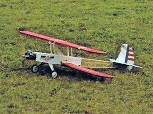 Early bird bipe - bird, 47"