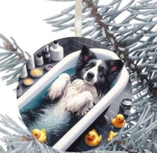 Border Collie da Appendere