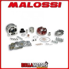3115901 gruppo termico malossi - termico,