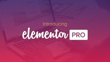 Elementor Pro WordPress Plugin