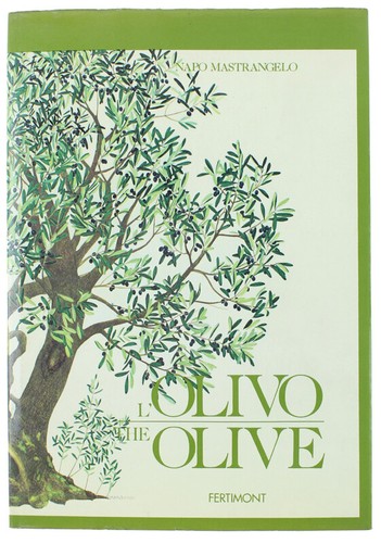 Olivo albero dell - l'olivo, dell'uomo