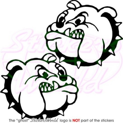 Bulldog inglese cane - bulldog, inglese cane