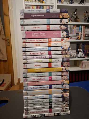 Yaoi bundle manga 24 - manga,