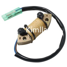 Bobina statore generatore