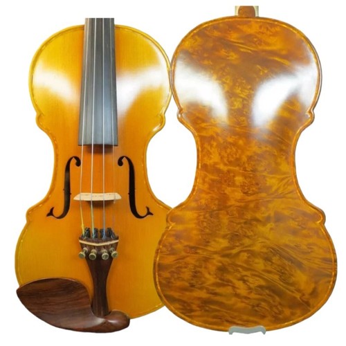 Bellissimo violino maestro