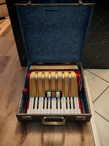 Fisarmonica hohner student - hohner, iv
